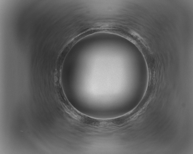 X0000075361449200609081203
