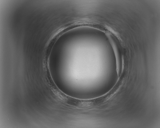 X0000075361453200609081203