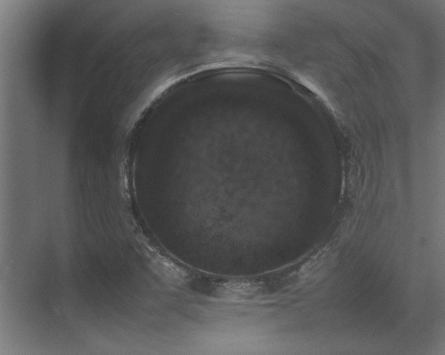 X0000075361455200609081203