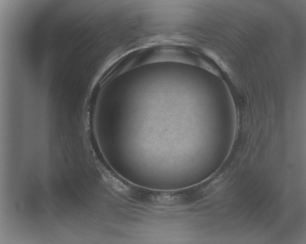 X0000075361459200609081203