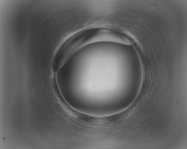 X0000075361461200609081203