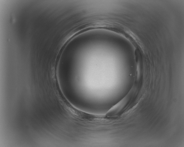 X0000075361465200609081203