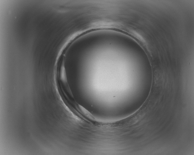 X0000075361472200609081202