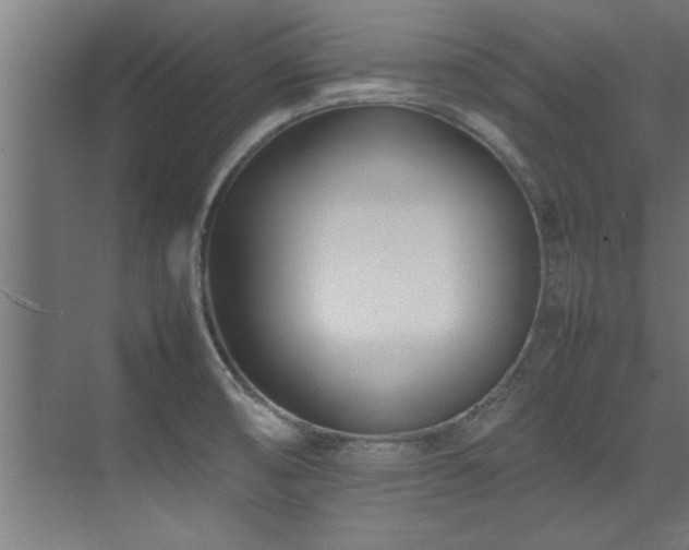 X0000075361474200609081202