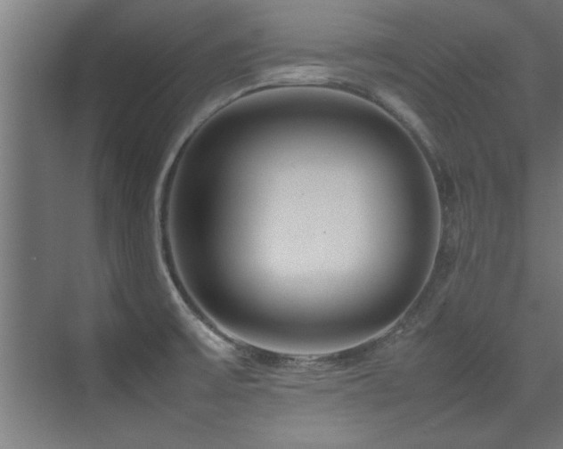 X0000075361475200609081202