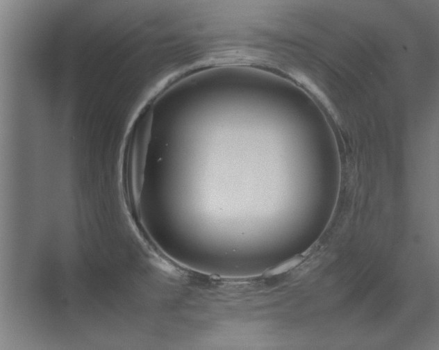 X0000075361477200609081202