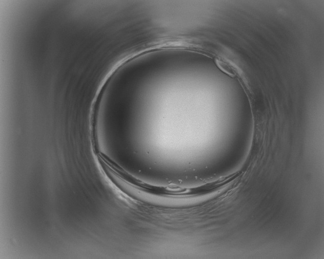 X0000075361483200609081202