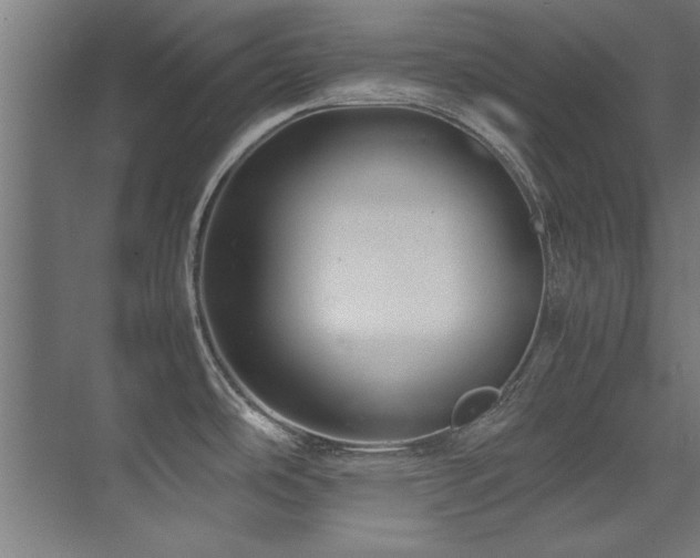 X0000075361486200609081202