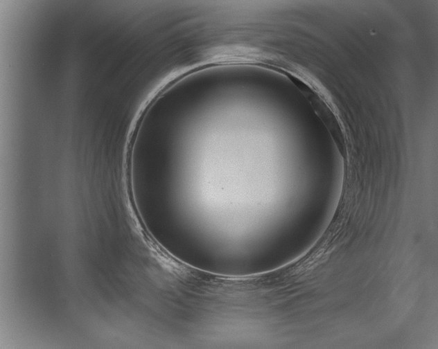 X0000075361488200609081202