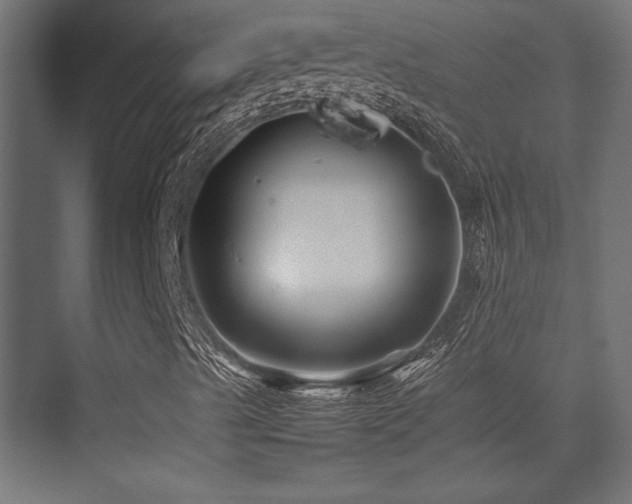X0000075361489200609081201