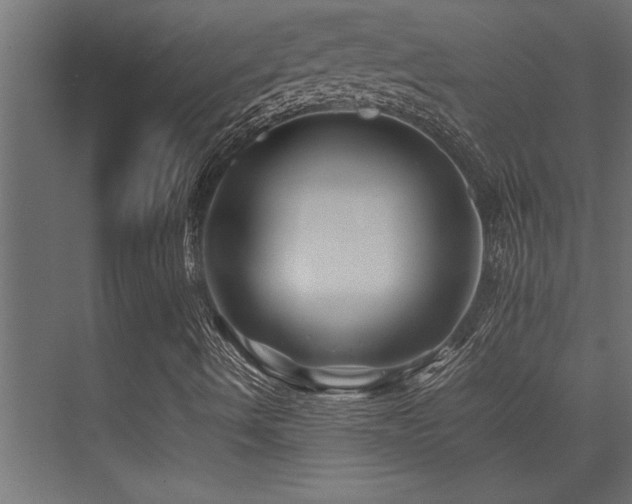 X0000075361490200609081201