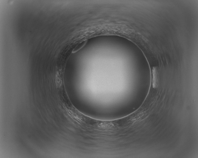 X0000075361491200609081201