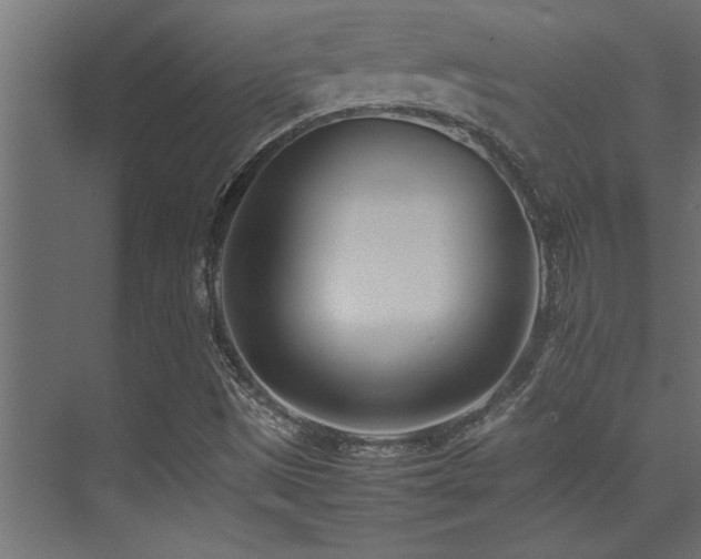 X0000075361497200609081202