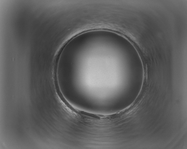 X0000075361500200609081202
