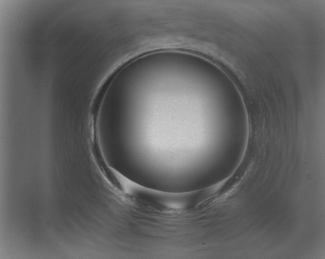 X0000075361509200609081202