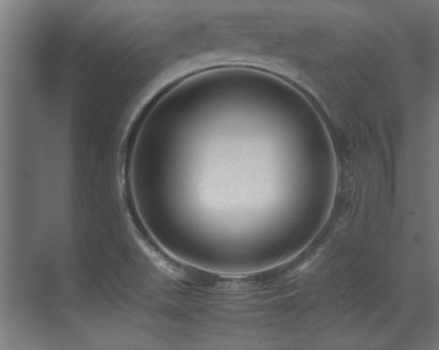 X0000075361511200609081202