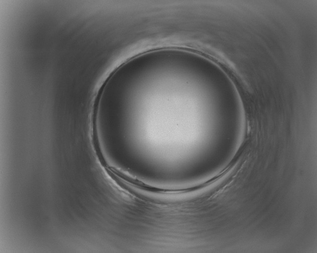 X0000075361512200609081202
