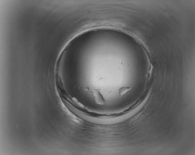 X0000075361532200609081202