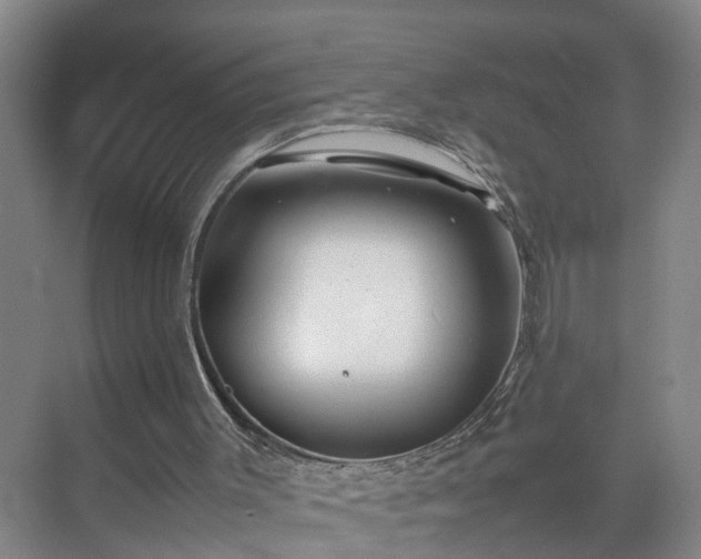 X0000075360003200609151649