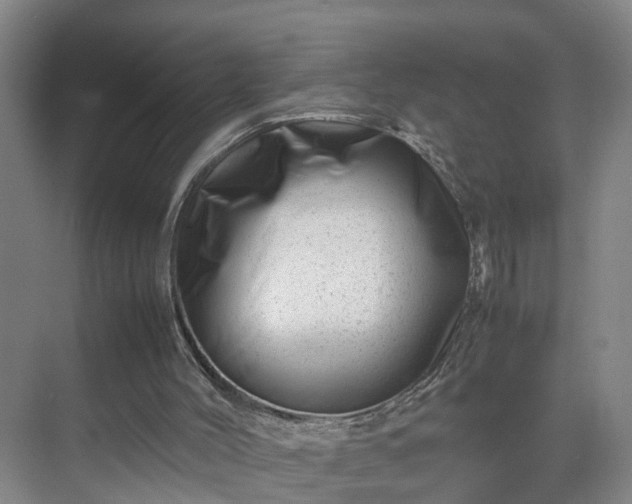 X0000075360004200609151649