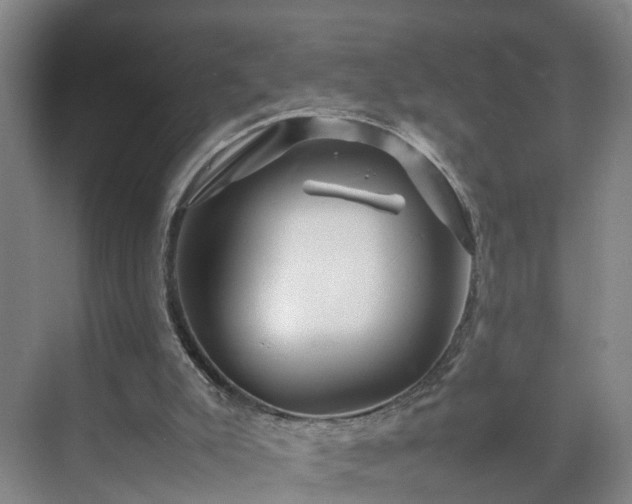 X0000075360007200609151649