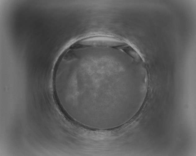 X0000075360008200609151649