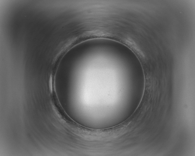 X0000075360014200609151649