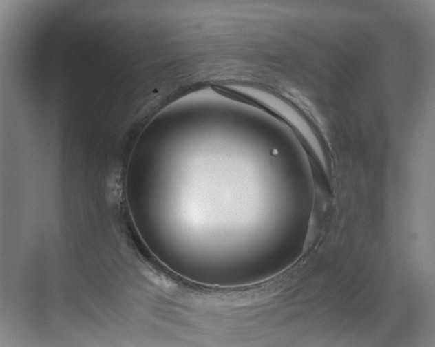 X0000075360017200609151648