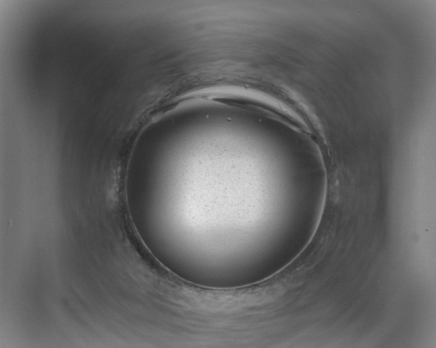 X0000075360018200609151648