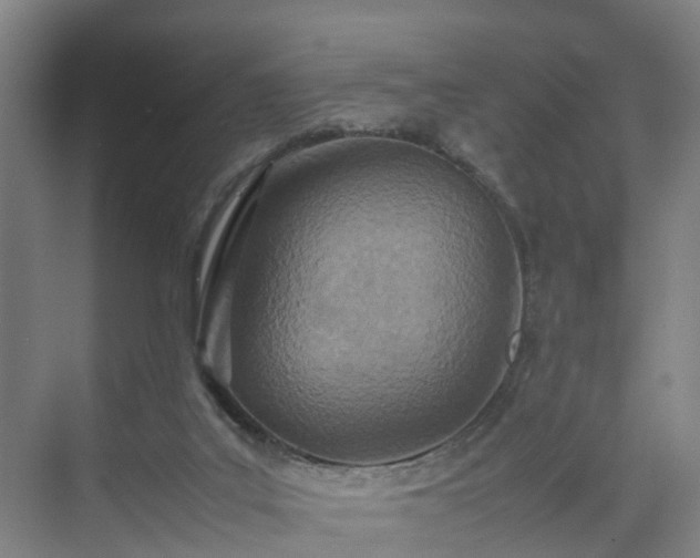 X0000075360019200609151648