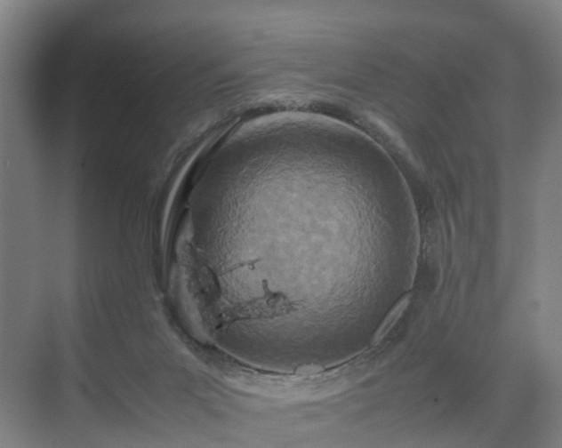 X0000075360023200609151648