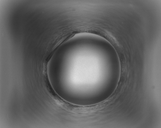 X0000075360025200609151648