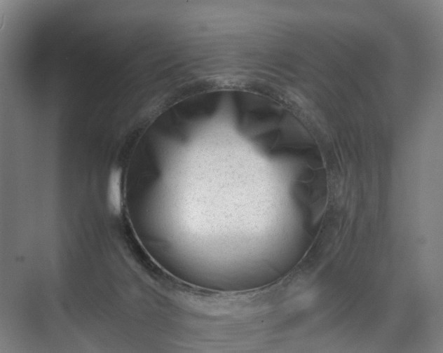 X0000075360028200609151648