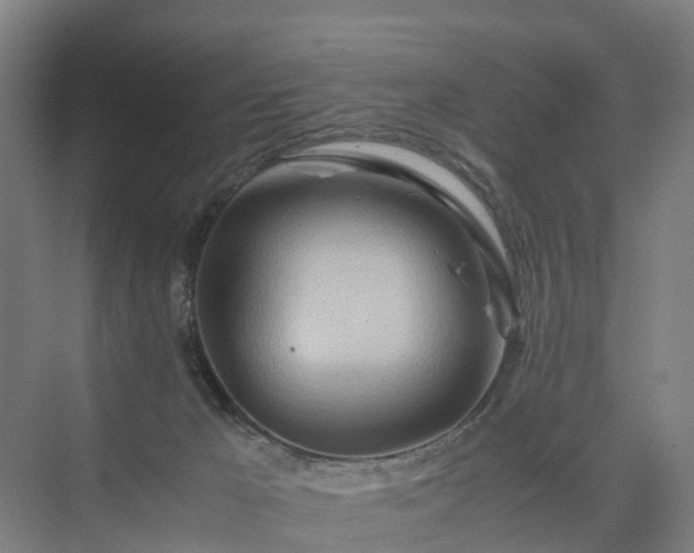 X0000075360029200609151648