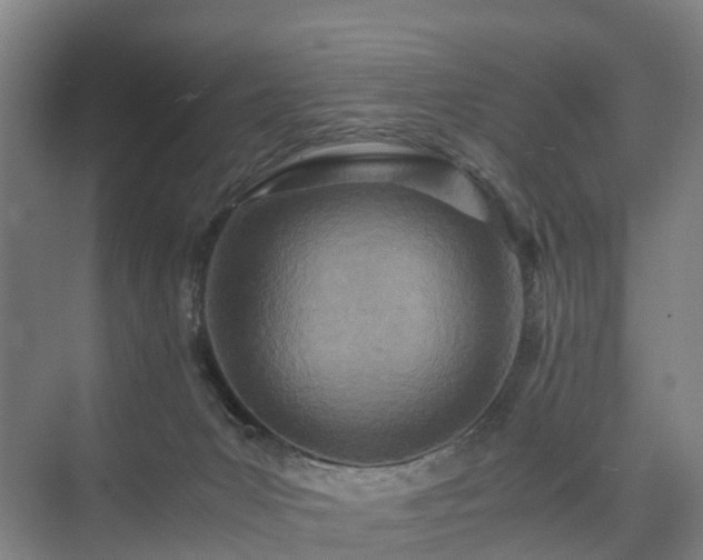 X0000075360031200609151648