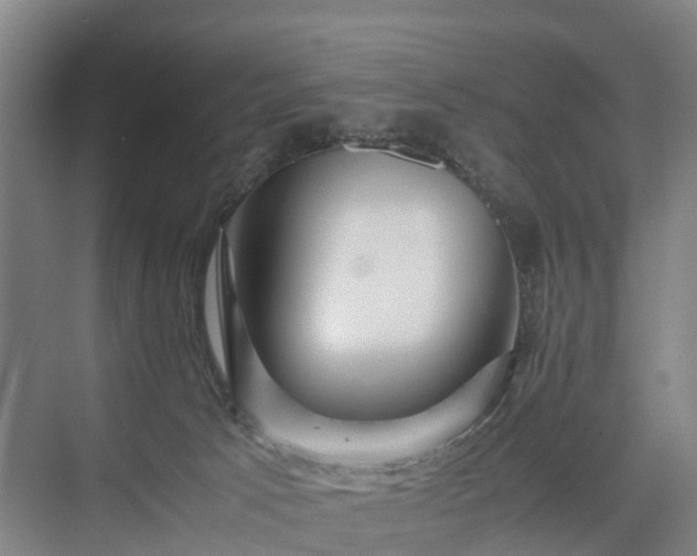 X0000075360033200609151648