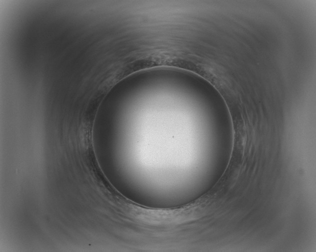 X0000075360034200609151648