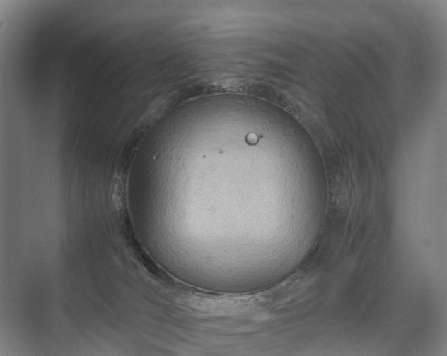 X0000075360036200609151648