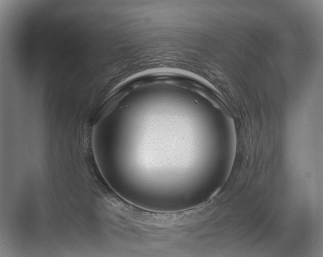 X0000075360037200609151648