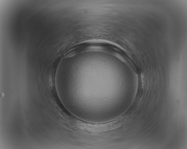 X0000075360039200609151648