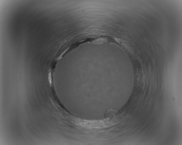 X0000075360042200609151648