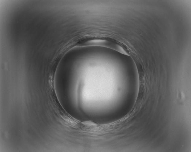 X0000075360045200609151648