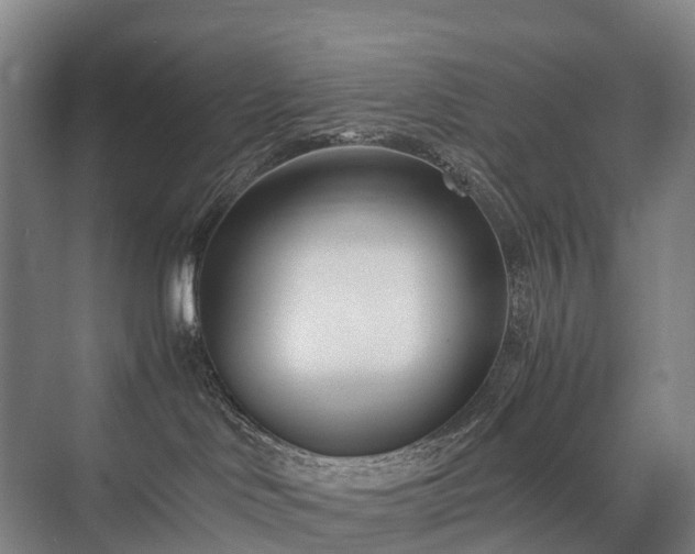 X0000075360046200609151648