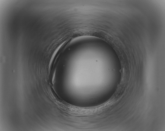 X0000075360048200609151648