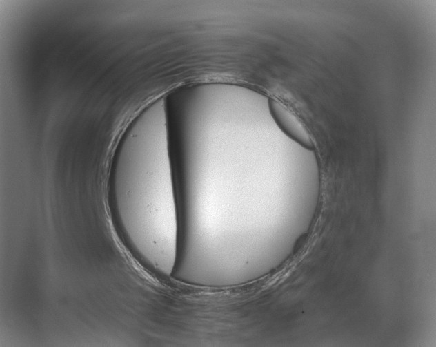 X0000075360049200609151647