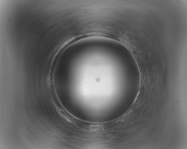 X0000075360050200609151647