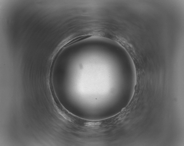 X0000075360051200609151647