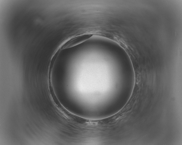 X0000075360052200609151647