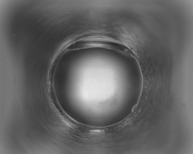 X0000075360053200609151647