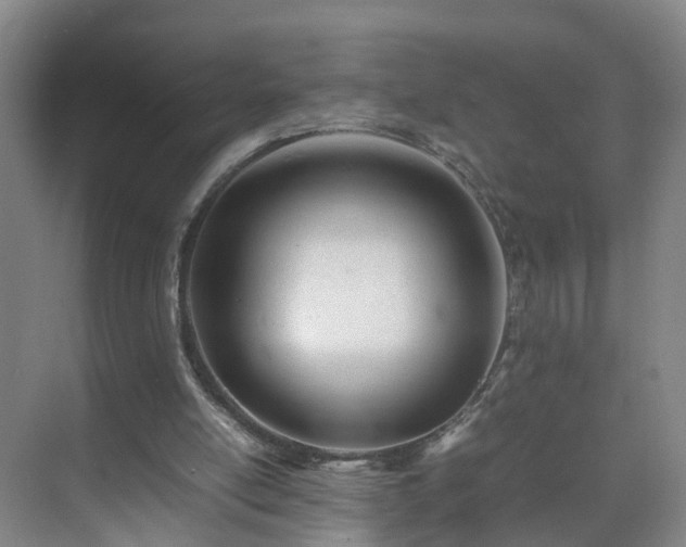 X0000075360054200609151647